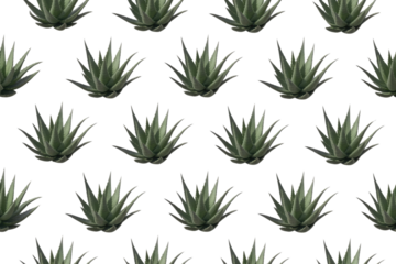 Seamless pattern of aloe vera plants on a transparent background. Ideal for textile prints and backgrounds. background removed