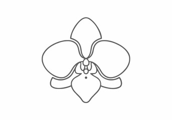 Fototapeta premium Minimalist orchid flower outline vector graphic illustration.