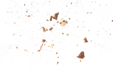 Photo of chocolate stains scattered on the floor