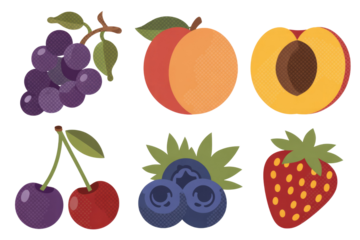 Collection of six different fruits: grapes, peach, half peach, cherries, blueberries, and strawberry, in a flat style. background removed