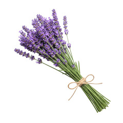 Fototapeta premium Purple Lavender Flowers Isolated on Transparent Background Depicting Natural Fragrance and Calmness 