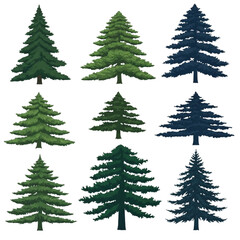 Obraz premium Realistic Vector Layered Fir Tree Set