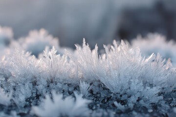 Frosted crystals sparkle in the winter sun, showcasing nature's beauty amidst a snowy landscape and inviting a sense of wonder and tranquility