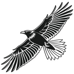 crow, bird, wings spread, black and white, detailed, intricate, graphic illustration, vector art

