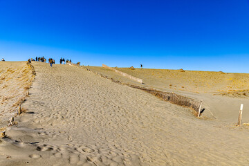 Scenery of Nakatajima Sand Dunes in Shizuoka Prefecture