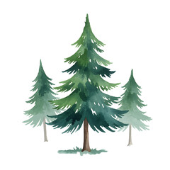 Obraz premium Watercolor Pine Trees Illustration of Forest Scene Isolated On Transparent Background