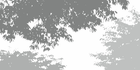 Monochromatic silhouette of tree leaves and branches against a white background