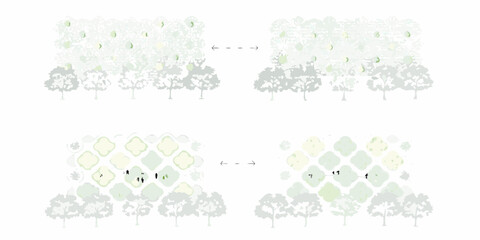 Abstract illustration of trees and floral patterns showing transformation and growth with arrows indicating change