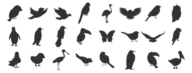 Obraz premium Bird silhouettes set. Various flying and sitting birds vector illustration on transparent background