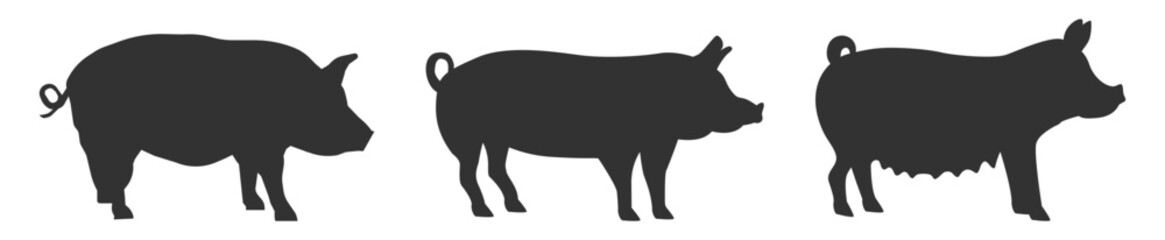 Pig silhouettes set. Domestic farm animals standing vector illustration on transparent background