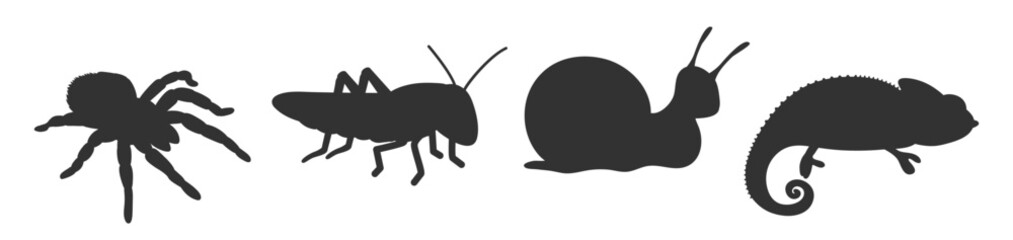 Insect and reptile silhouettes set. Various small creatures vector illustration on transparent background