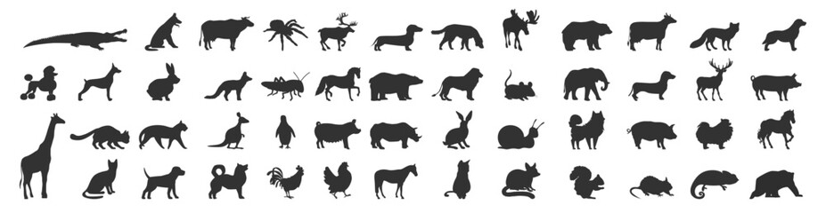 Animal silhouettes collection. Various wild and domestic species vector illustration on transparent background