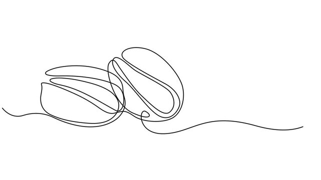 Self drawing animation of single line draw Pistachio Nut . Continuous contour movement of a pistachio. Continuous video with one line, Full length one line animation 4K video. Organic pistachios in.