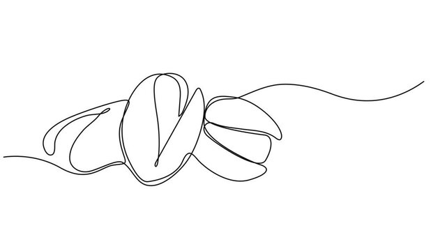 Self drawing animation of single line draw Pistachio Nut . Continuous contour movement of a pistachio. Continuous video with one line, Full length one line animation 4K video. Organic pistachios in.