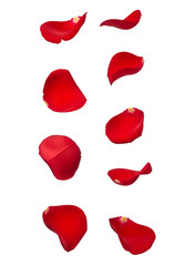 Falling red rose petals in soft vertical motion. Romantic, elegant, and perfect for Valentine&rsquo;s, wedding, or love-themed designs. Isolated on white or transparent background. PNG format.