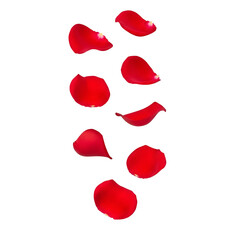 Falling red rose petals in soft vertical motion. Romantic, elegant, and perfect for Valentine&rsquo;s, wedding, or love-themed designs. Isolated on white or transparent background. PNG format.