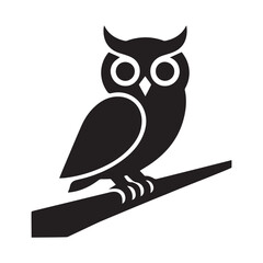 owl on branch