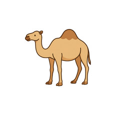 ラクダのカラーアイコン、素材、背景なし、資料作り、動物