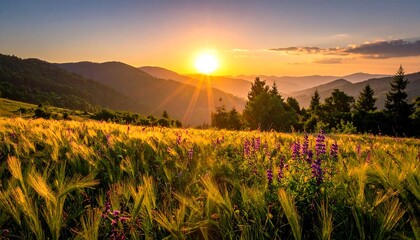 Golden hour illuminates a grassy field and rolling hills under a vibrant sky. Sun's rays burst over the horizon during the breathtaking landscape