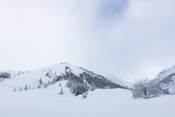 Fototapeta premium montagne sous la neige, scène hivernale, chutes de neige et froid dans les Alpes, hiver