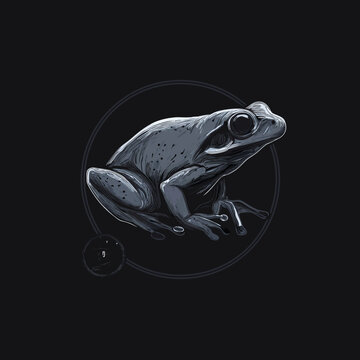 Detailed grayscale frog illustration on black background. Elegant minimalist vector art of a sitting amphibian, nature wildlife design.