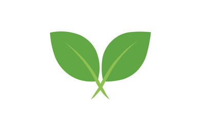 Two vibrant green leaves with visible veins forming a v shape against a clean white background