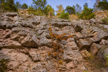Rzepka Mountain in Poland 3