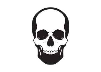 Vector art of black and white skull, vector illustration