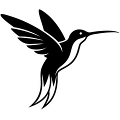 vector illustration of a bird