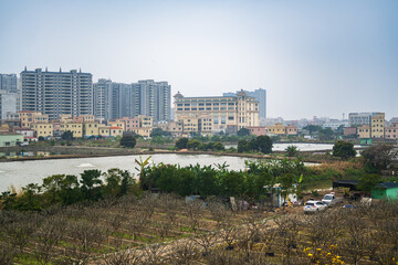 Fototapeta premium Between Guangzhou, Canton, and Macao, China, 3 March 2025: view from train showing orchards, aquaculture ponds and urban skyline. Urban expansion over rural land in the Pearl River Delta.