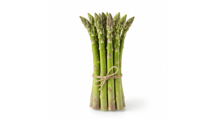 Fresh Green Asparagus Bunch Tied with Twine, Isolated transparent background, Healthy Cooking Ingredient.