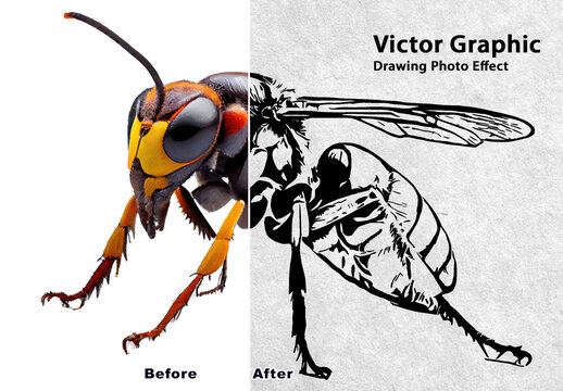 Vector Style Illusion Drawing Creative Photo Effect Mockup