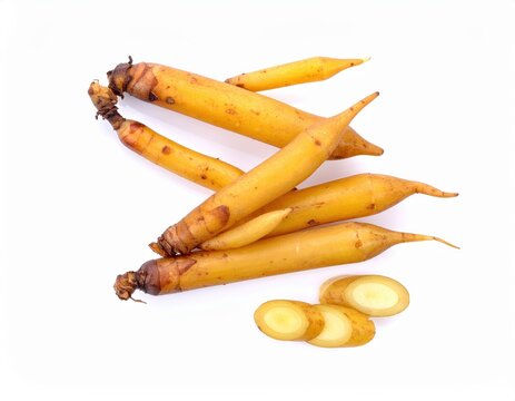 High-quality image of fresh fingerroot rhizomes, ideal for culinary and medicinal use in Asian cuisine and traditional remedies.
