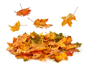 Autumn leafs falling in a pile