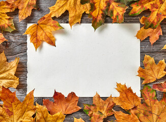 Blank paper on autumn foliage background