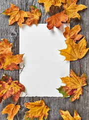 Blank paper and yellow leafs