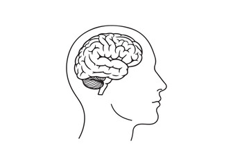 Vector art of human brain in head, mind and intelligence