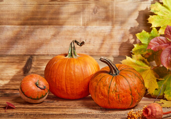 Pumpkins and autumn leafs
