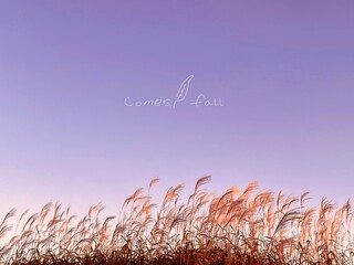 comes fall on the sky