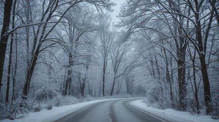 Obraz premium Cold winter journey through snowy woods.