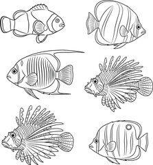 Vector art of hand drawn tropical fish for coloring book