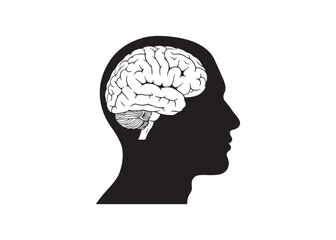 Obraz premium Vector art of human head silhouette with brain, intelligence