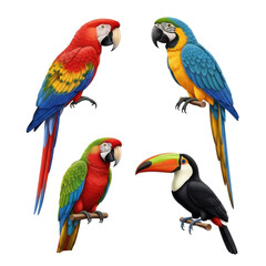 Obraz premium Colorful parrots and toucan birds in vibrant tropical setting.