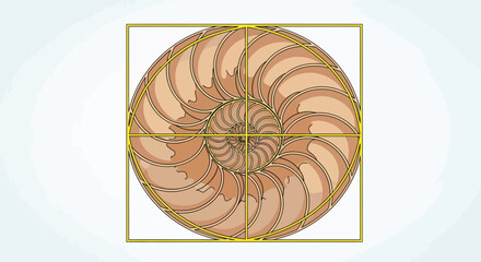 Nautilus shell Golden ratio Spiral pattern Geometric composition Mathematical harmony