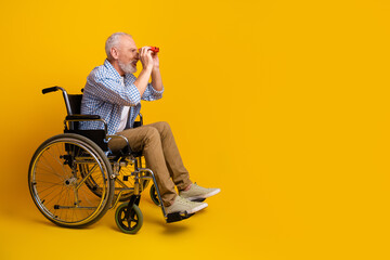 Grandpa in a wheelchair gazes through bright binoculars against a sunny yellow background for a...
