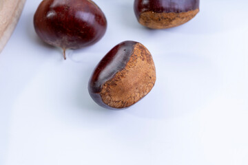 Chestnuts are often harvested in autumn.