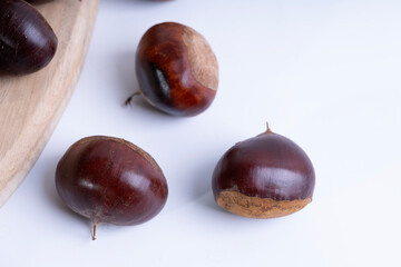 Chestnuts are often harvested in autumn.