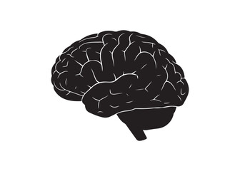 Vector art of human brain silhouette, central nervous system