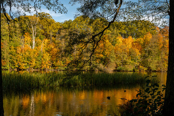 View from waterfront park Åbackarna across Motala Stream towards Folkparken during autumn in mid-October 2025 in Norrköping, Sweden