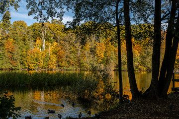 View from waterfront park Åbackarna across Motala Stream towards Folkparken during autumn in mid-October 2025 in Norrköping, Sweden